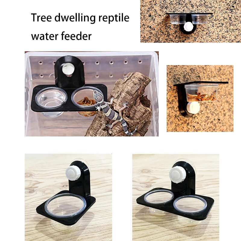 Water Dish Reptile - Akcesoria do zbiorników dla gadów Owad