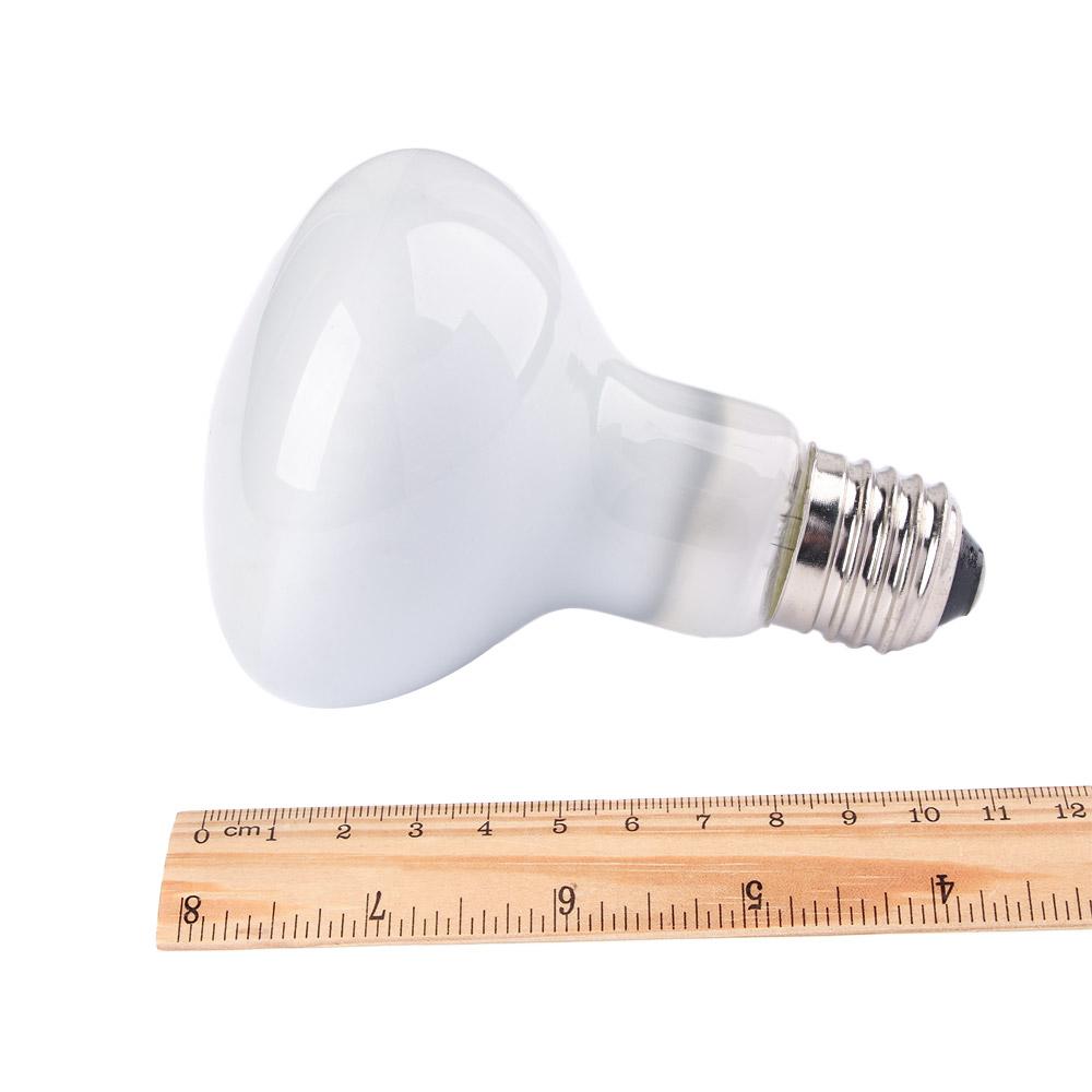 Żarówka halogenowa dla jaszczu – Basking Bulb Halogen recenzja i cena