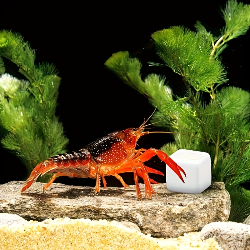 6 szt. Kamieni do szlifowania  – Calcium Powder Reptile recenzja i cena