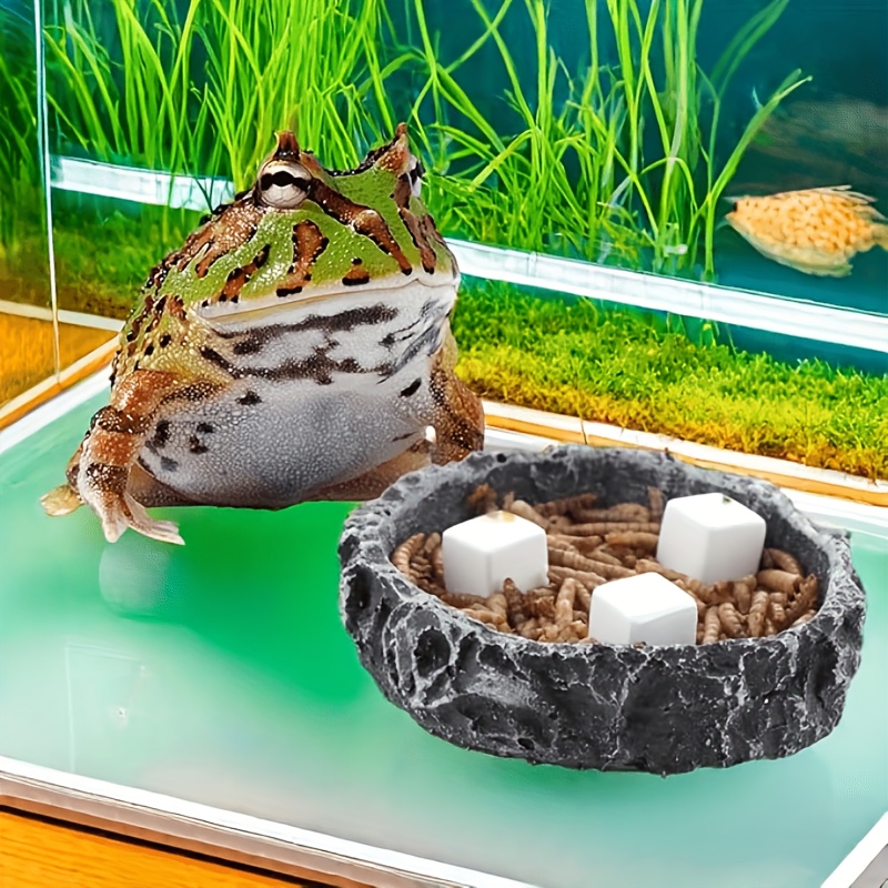 6 szt. Kamieni do szlifowania  – Calcium Powder Reptile recenzja i cena