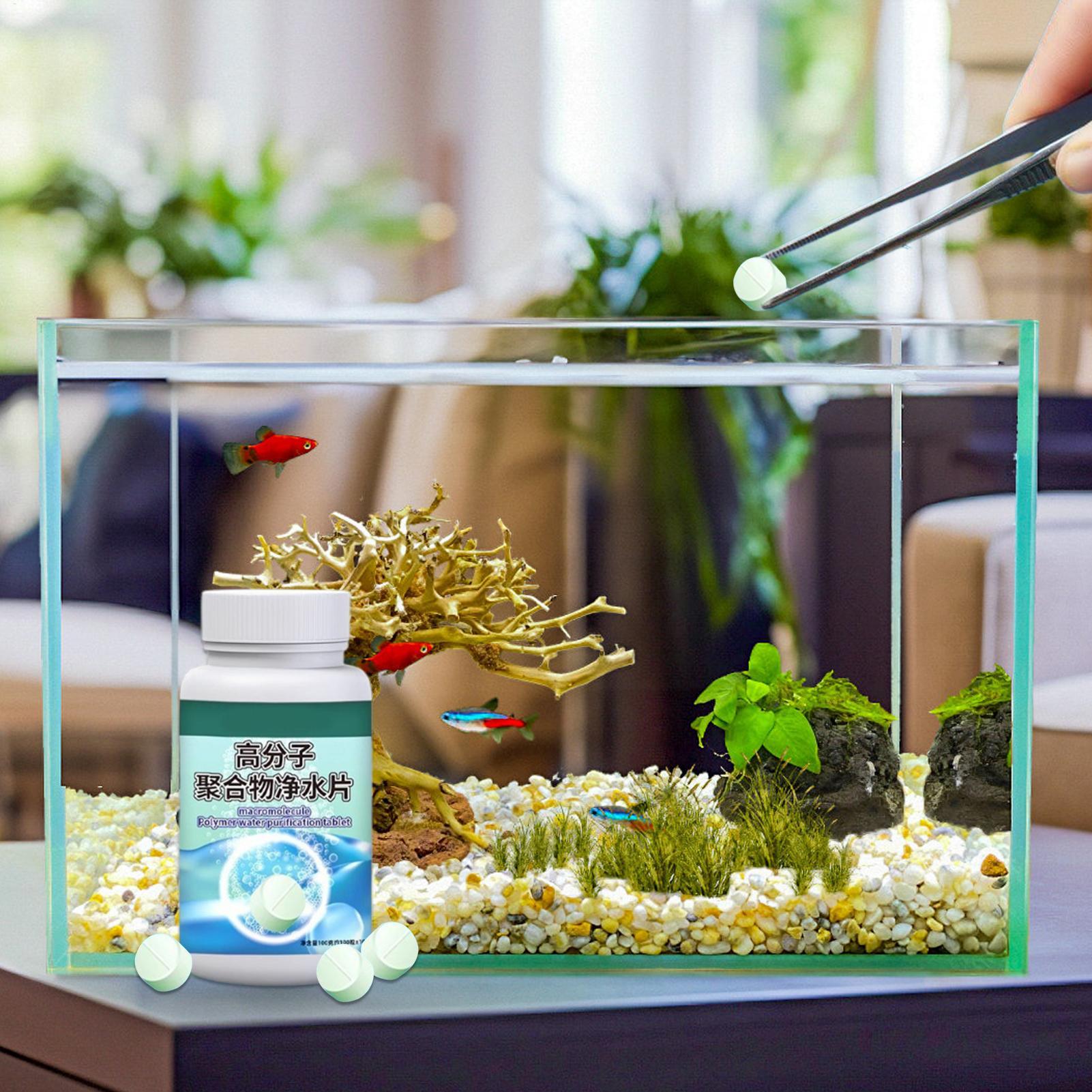 Tabletki do usuwania alg z ryb – Water Dish Reptile recenzja i cena