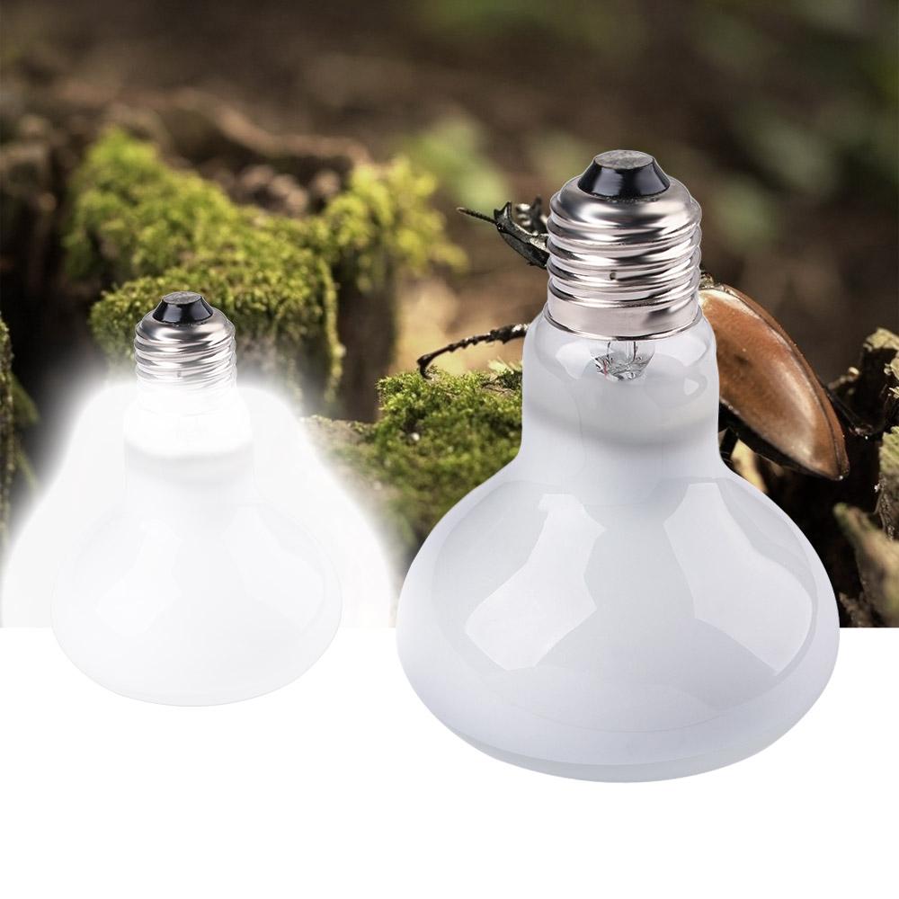 Regulator temperatury dla jasz – Basking Bulb Halogen recenzja i cena