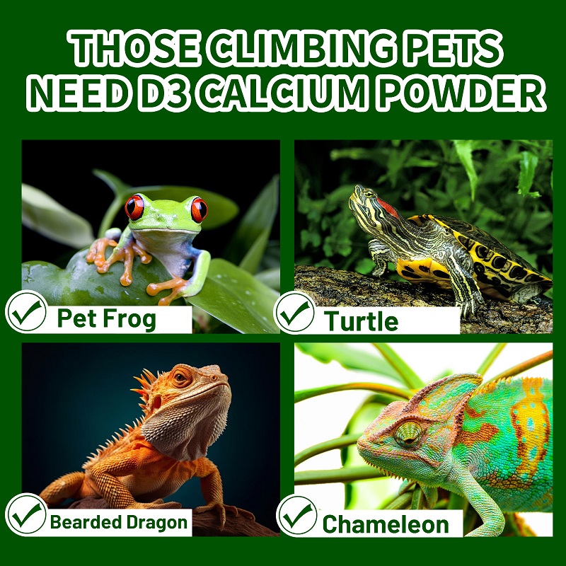 Proszek witamin D3 i wapnia dl – Calcium Powder Reptile recenzja i cena