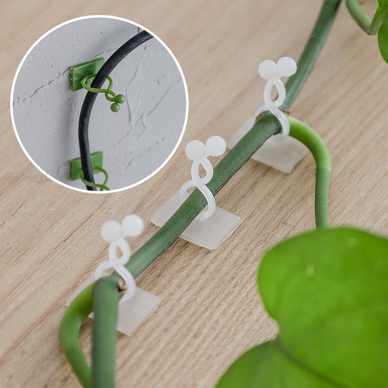 10 szt. Haczyki do mocowania r – Vine Climbing Plastic recenzja i cena
