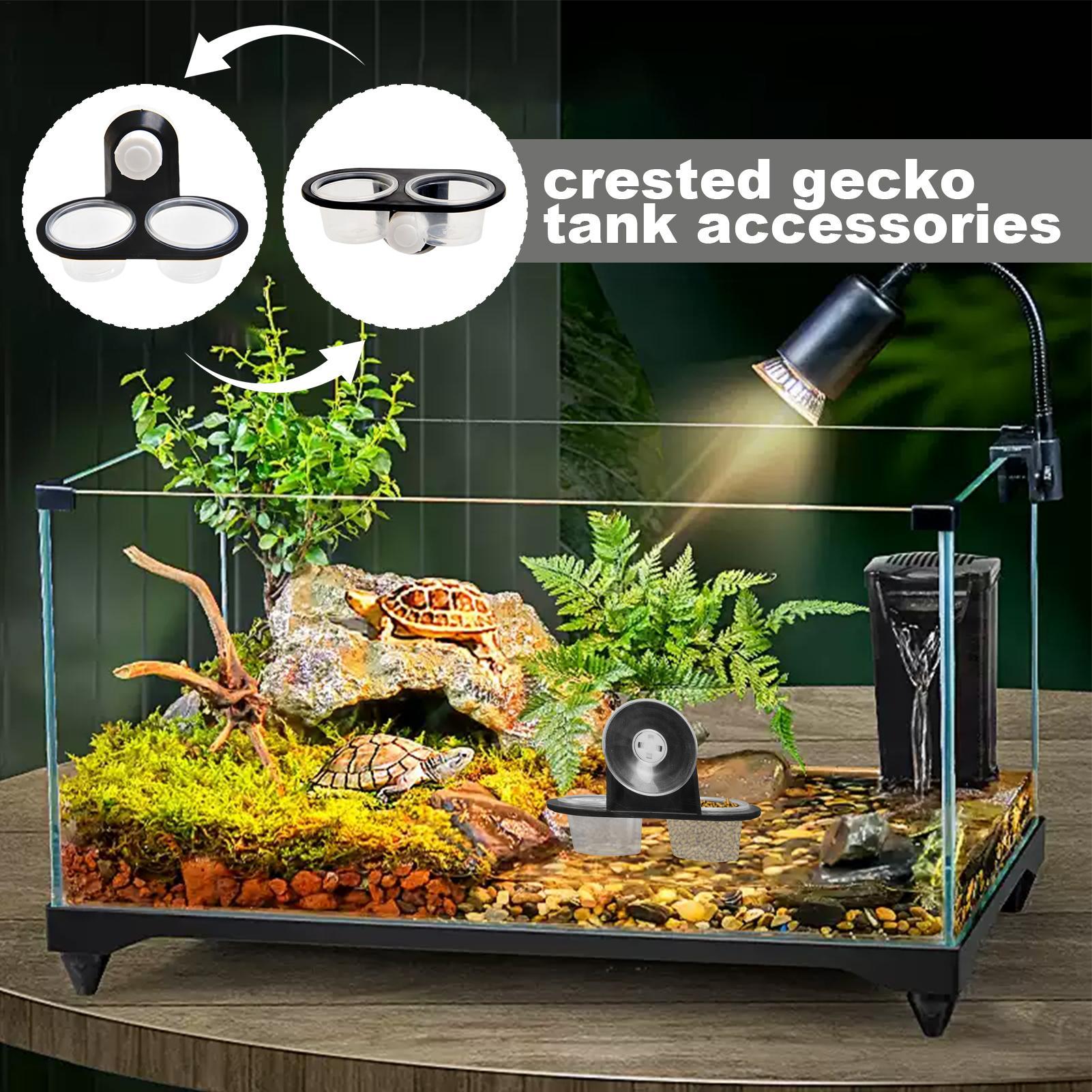 Miska na karmę dla gekonów, po – Water Dish Reptile recenzja i cena