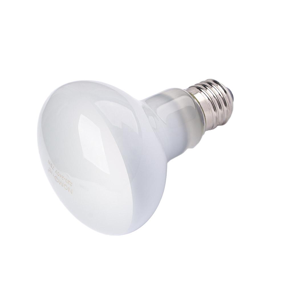 Regulator temperatury dla żółw – Basking Bulb Halogen recenzja i cena