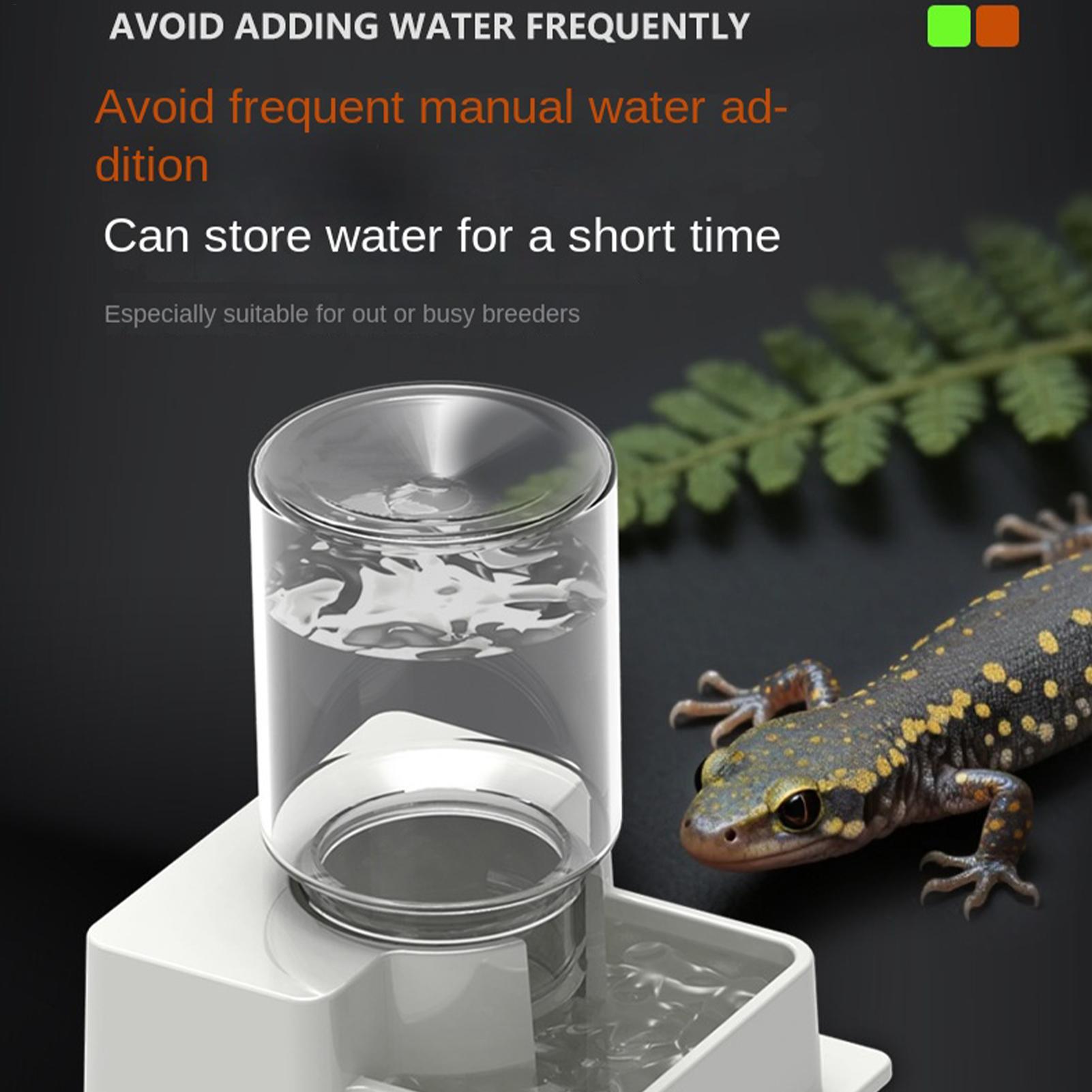 Automatyczna fontanna dla agam – Water Dish Reptile recenzja i cena