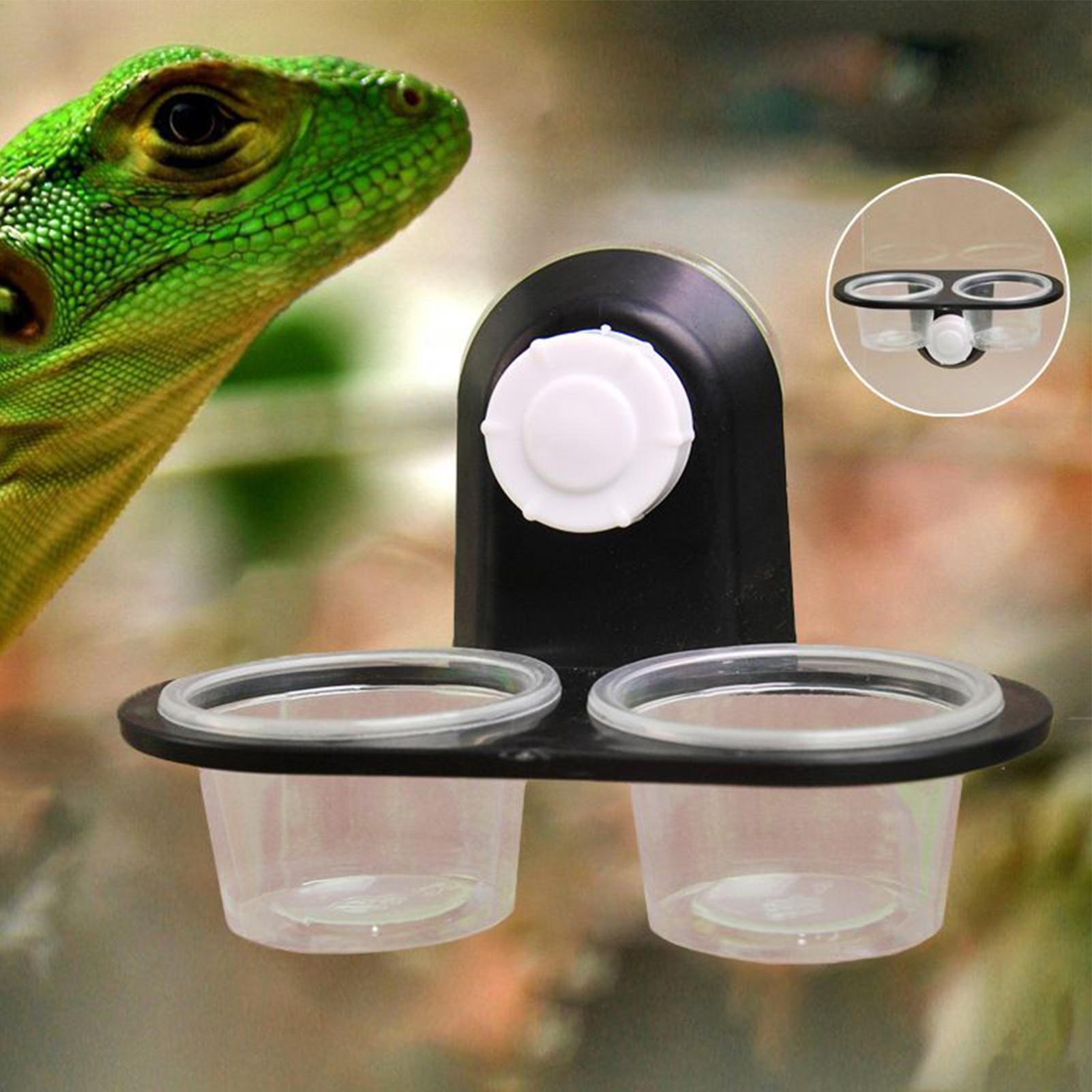 Półka do karmienia gekonów z o – Water Dish Reptile recenzja i cena