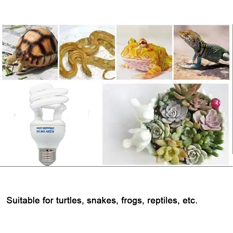E27 13W/26W lampa Uvb dla gadó – Calcium Powder Reptile recenzja i cena