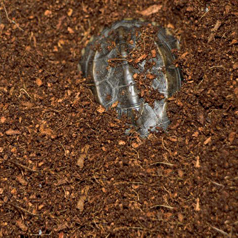 WAJABABY Gotowa do Użytku Cihl – Substrate Coconut Fiber recenzja i cena