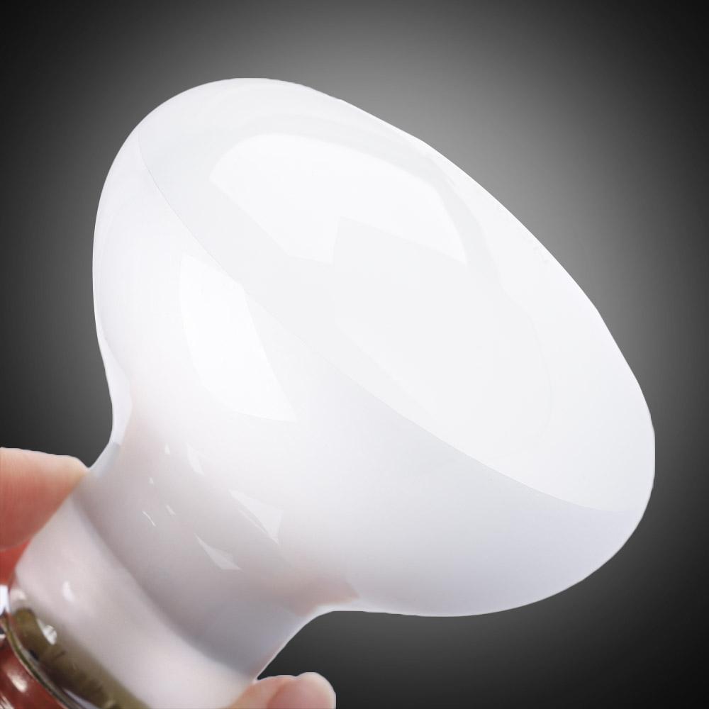 Regulator temperatury lampy gr – Basking Bulb Halogen recenzja i cena